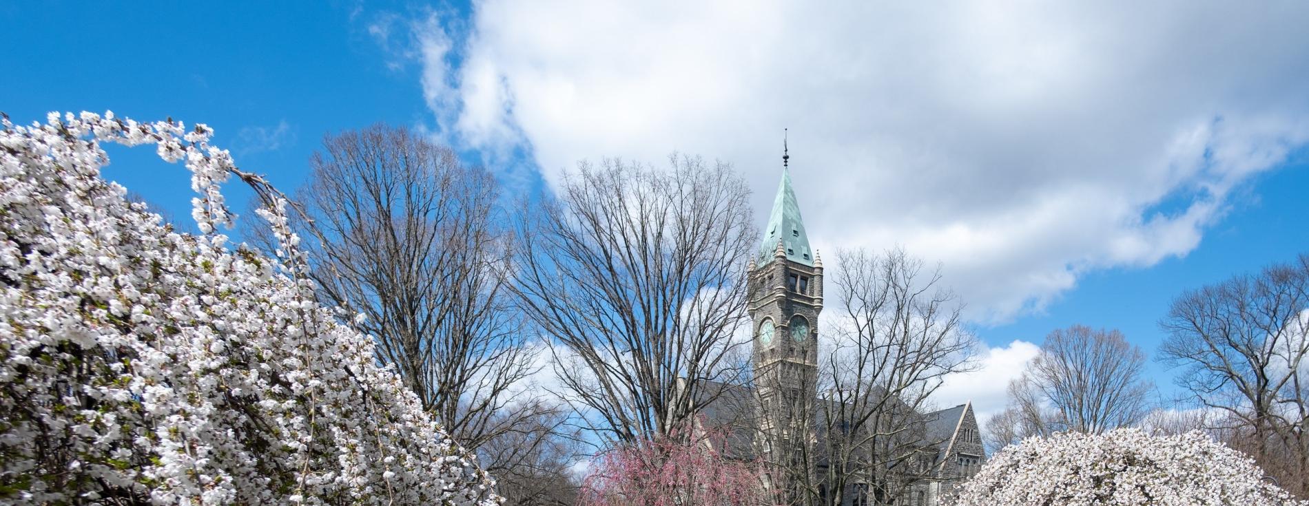 Taylor Hall Cherry Blossoms