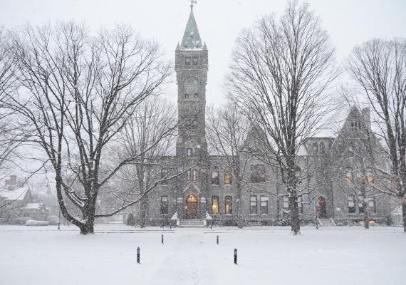 Taylor in the snow